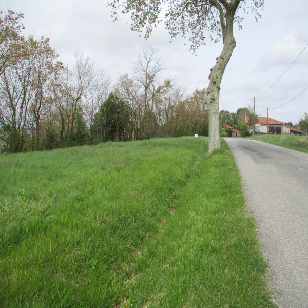 Offres de vente Terrain Nailloux 31560